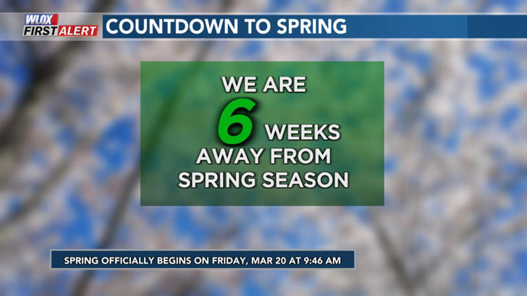 Groundhog calls for more winter