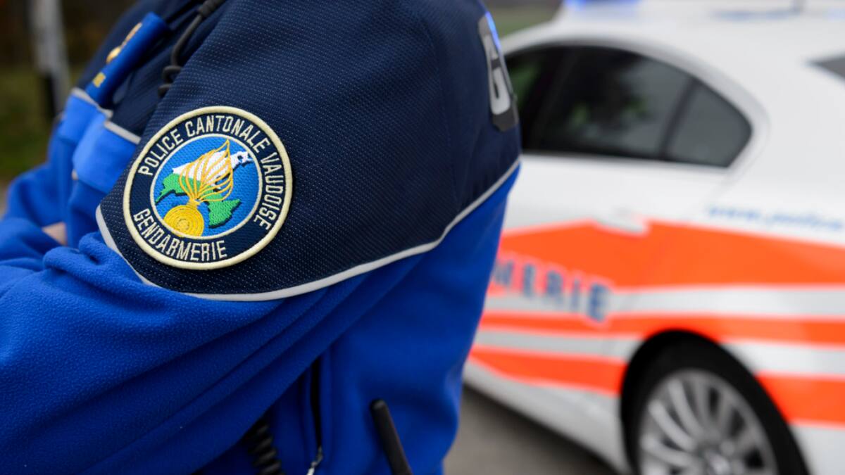 Sortie de route fatale : une voiture part en embardée et finit dans une ...