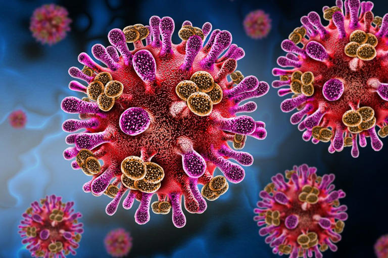 Global Virus Network issues statement on Nipah virus outbreak