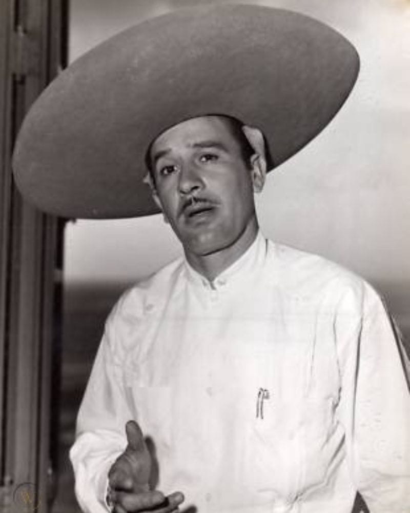 20 famous Mexican singers that need to be on your playlist — is your ...