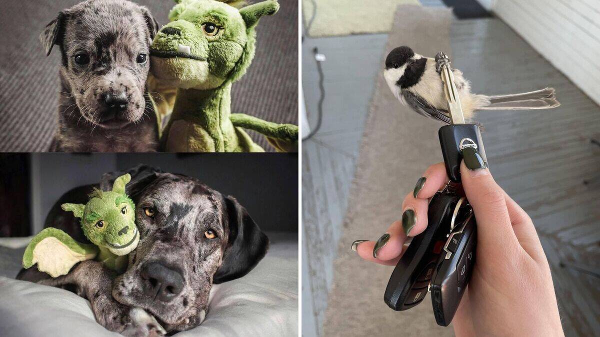 24 adorable moments that are too cute not to share