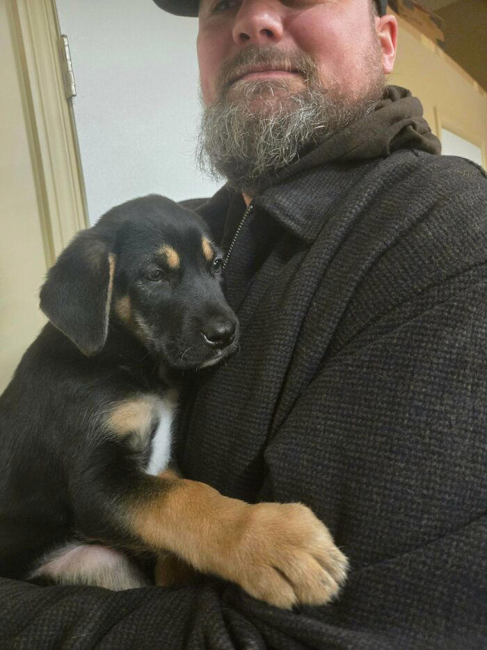 72 adopted animals whose first month in their forever homes is pure ...