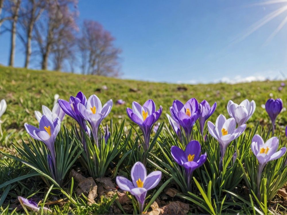 Getting your garden ready for spring