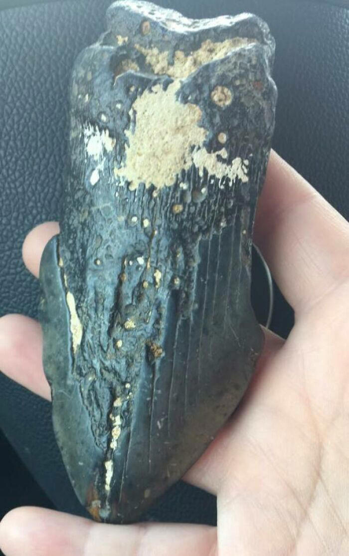 ‘What is this thing?’: 50 times the internet solved the mystery of ...