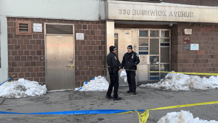 Mother of four found dismembered in Brooklyn apartment building