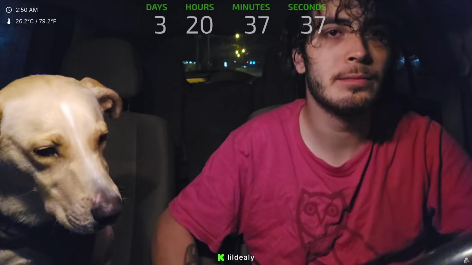 Justice still exists: Streamer won't get his dog back after abuse on stream