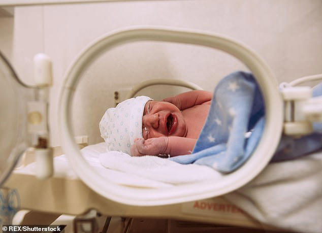 Curated visual reference: Picture Idea: If Your Mom Drank Even A Little During Pregnancy You