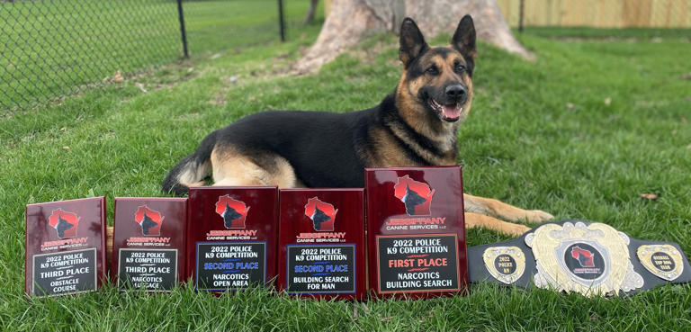 Dodge Co. Sheriff's Office mourns loss of retired K9 Kid