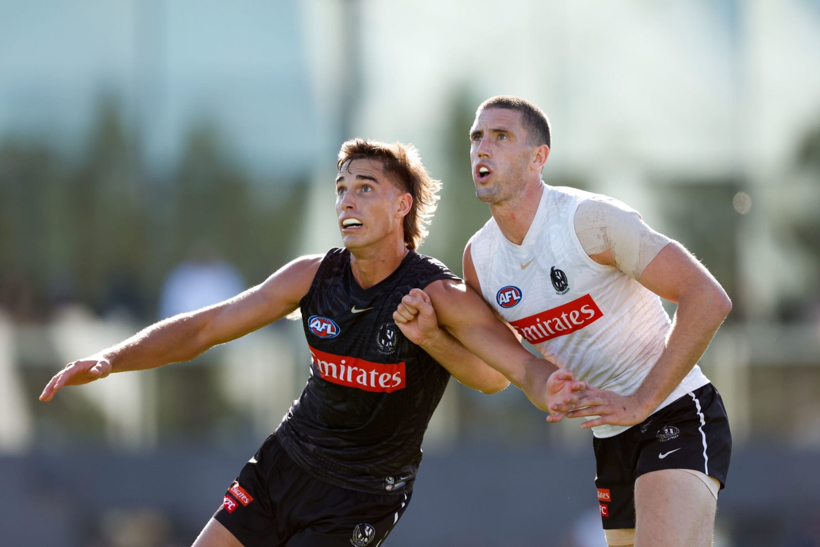 Five ex-AFL names join Collingwood VFL
