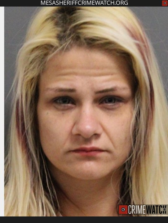 Woman arrested on several warrants, drug possession