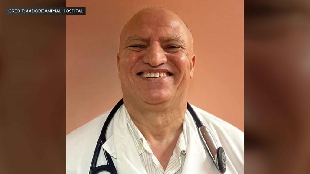 Carbon monoxide suspected of killing vet, dog in Queens animal care van