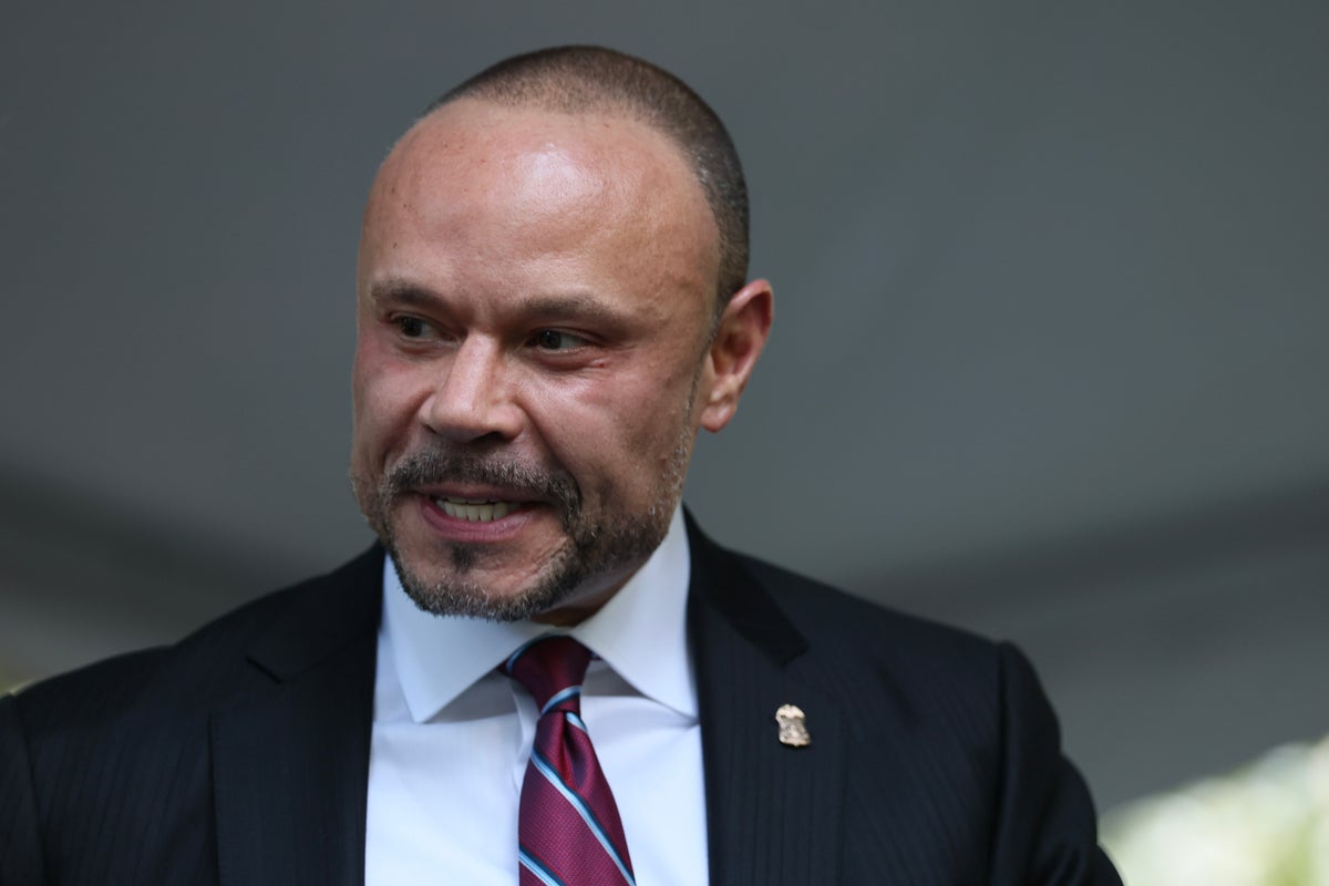 Dan Bongino returns to Fox News to cover Nancy Guthrie case<br>