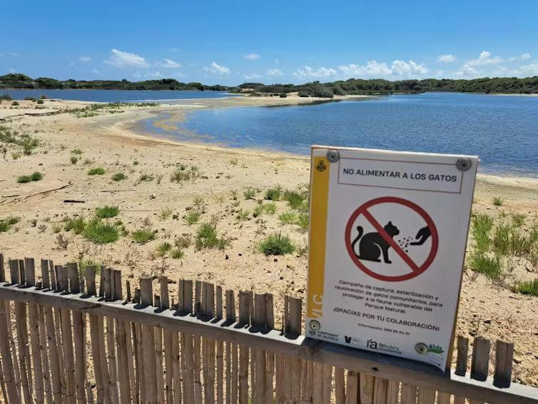 Face aux animaux de compagnie qui dévorent la biodiversité, l’Union ...