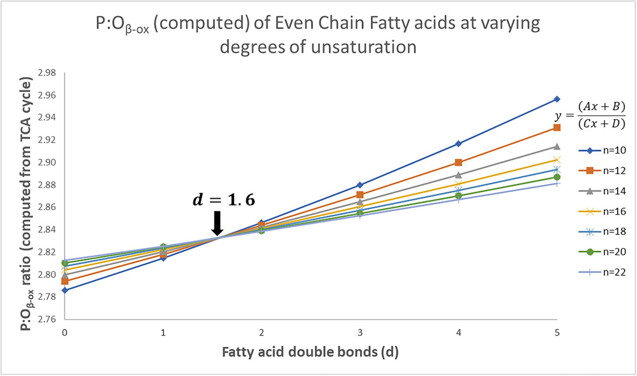 Our body is doing fat-math (better than you'd imagine)