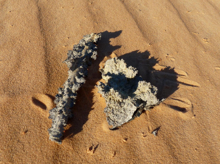 The coolest rocks in geology and the fascinating stories they tell