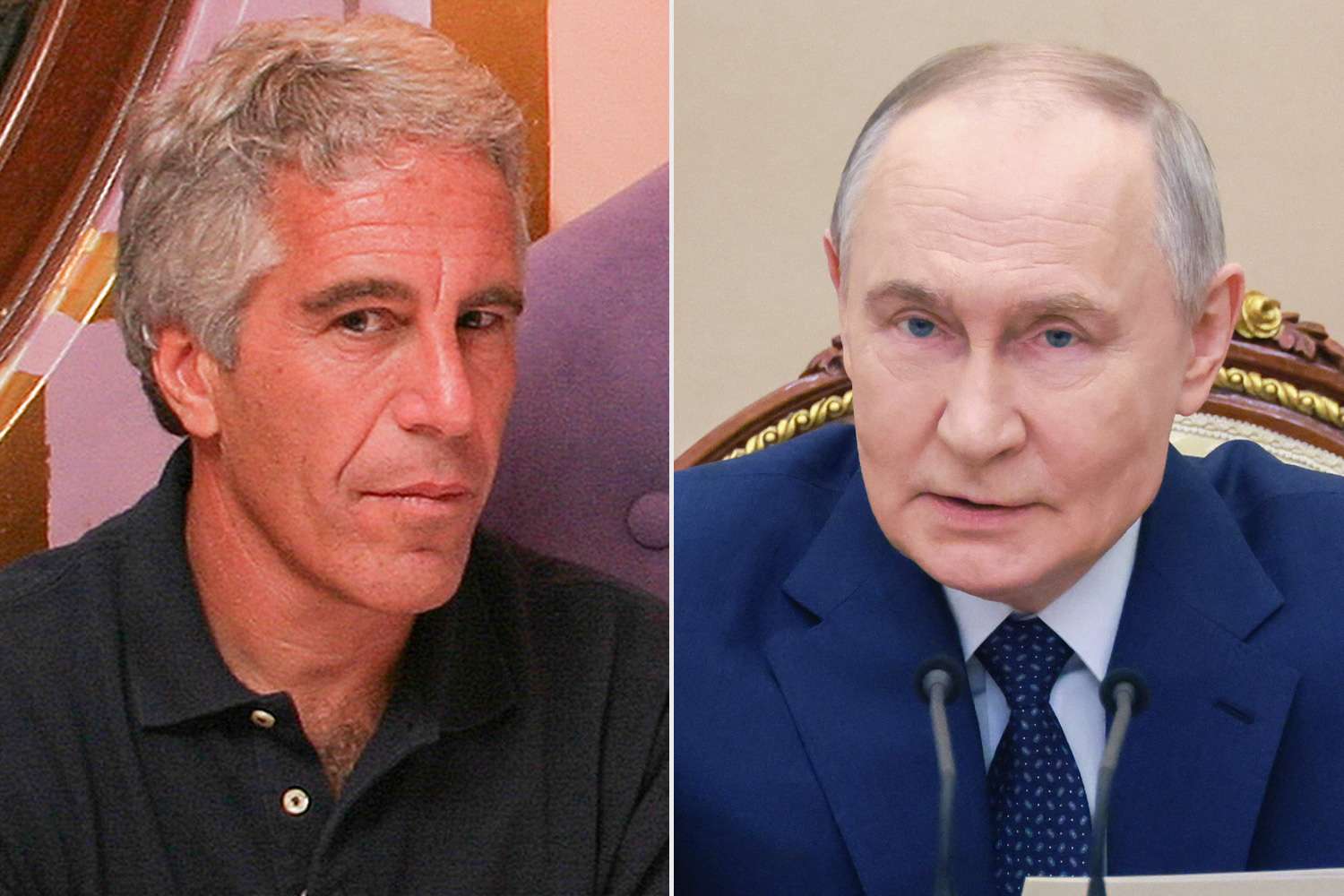 Jeffrey Epstein was Vladimir Putin's wealth manager, FBI source claimed ...