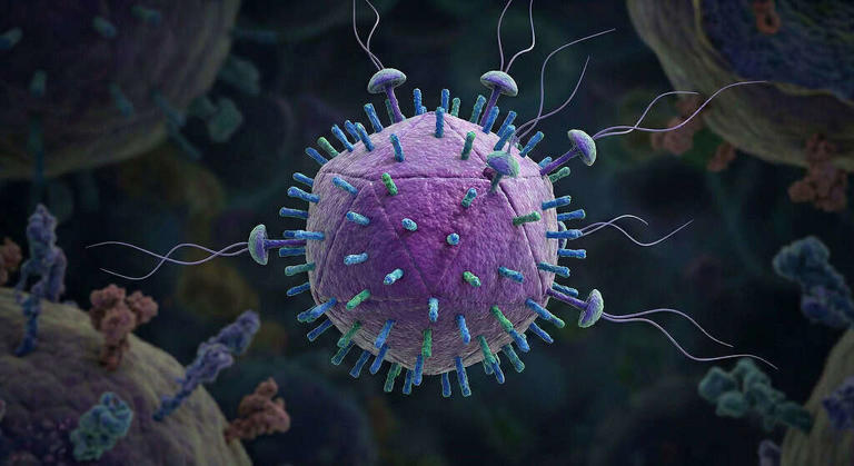 A giant virus from a Japanese pond hints that complex life originated ...