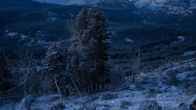 Community mourns loss of national park icon following disturbing discovery: 