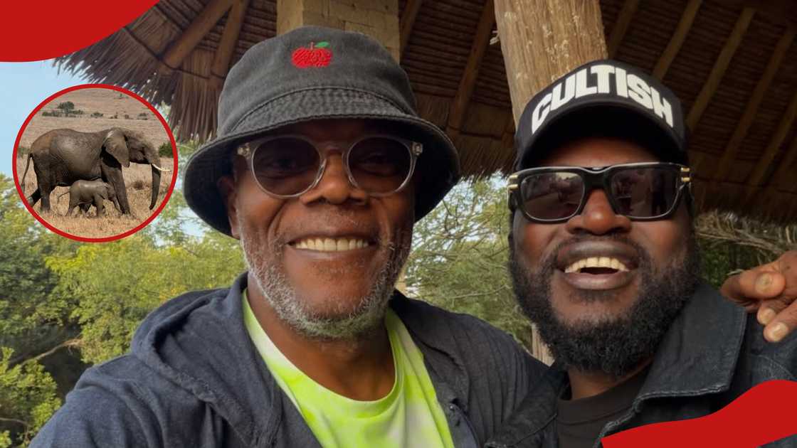 Samuel L Jackson: Hollywood icon enjoys safari getaway in Kenya
