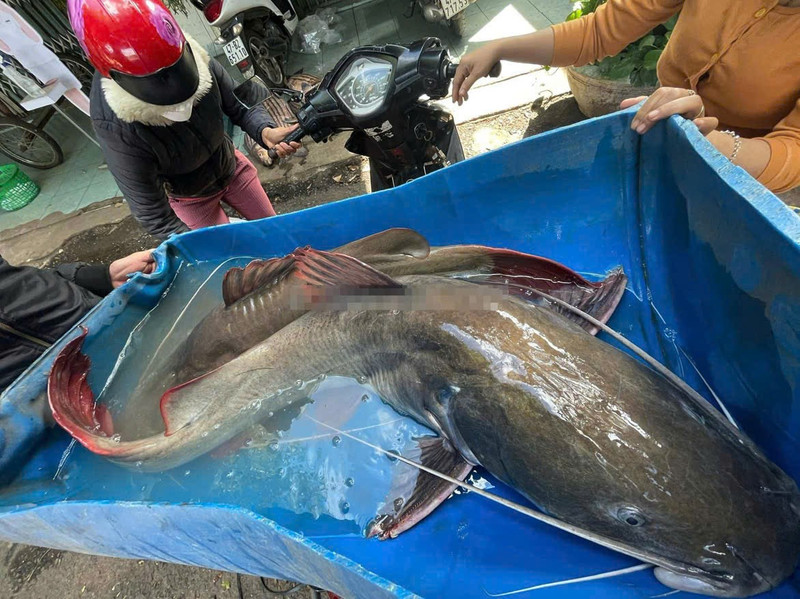 Khuất phục 'thủy quái' sông Sêrêpôk