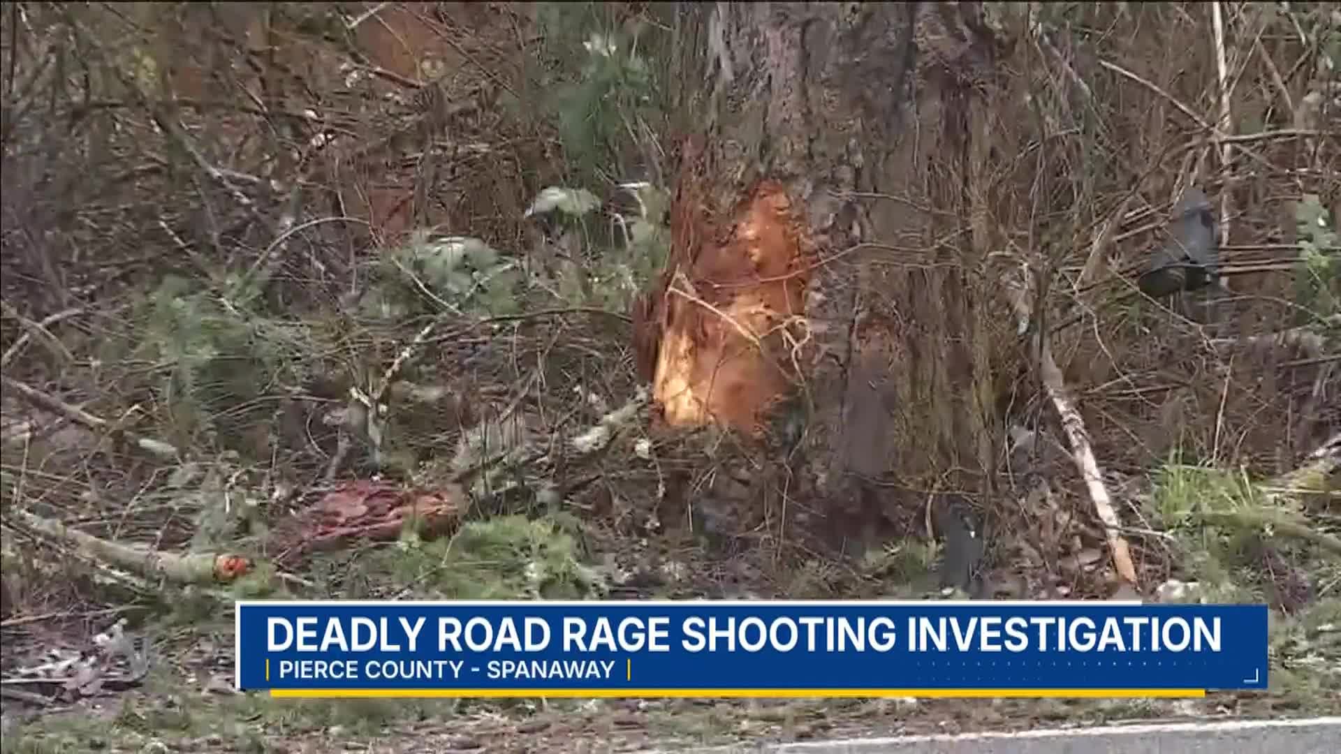Man killed in Spanaway road rage shooting