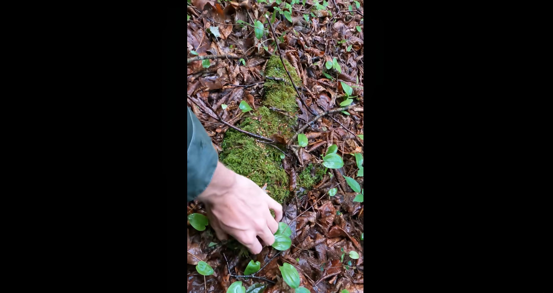 What they found under this rock wasn’t expected