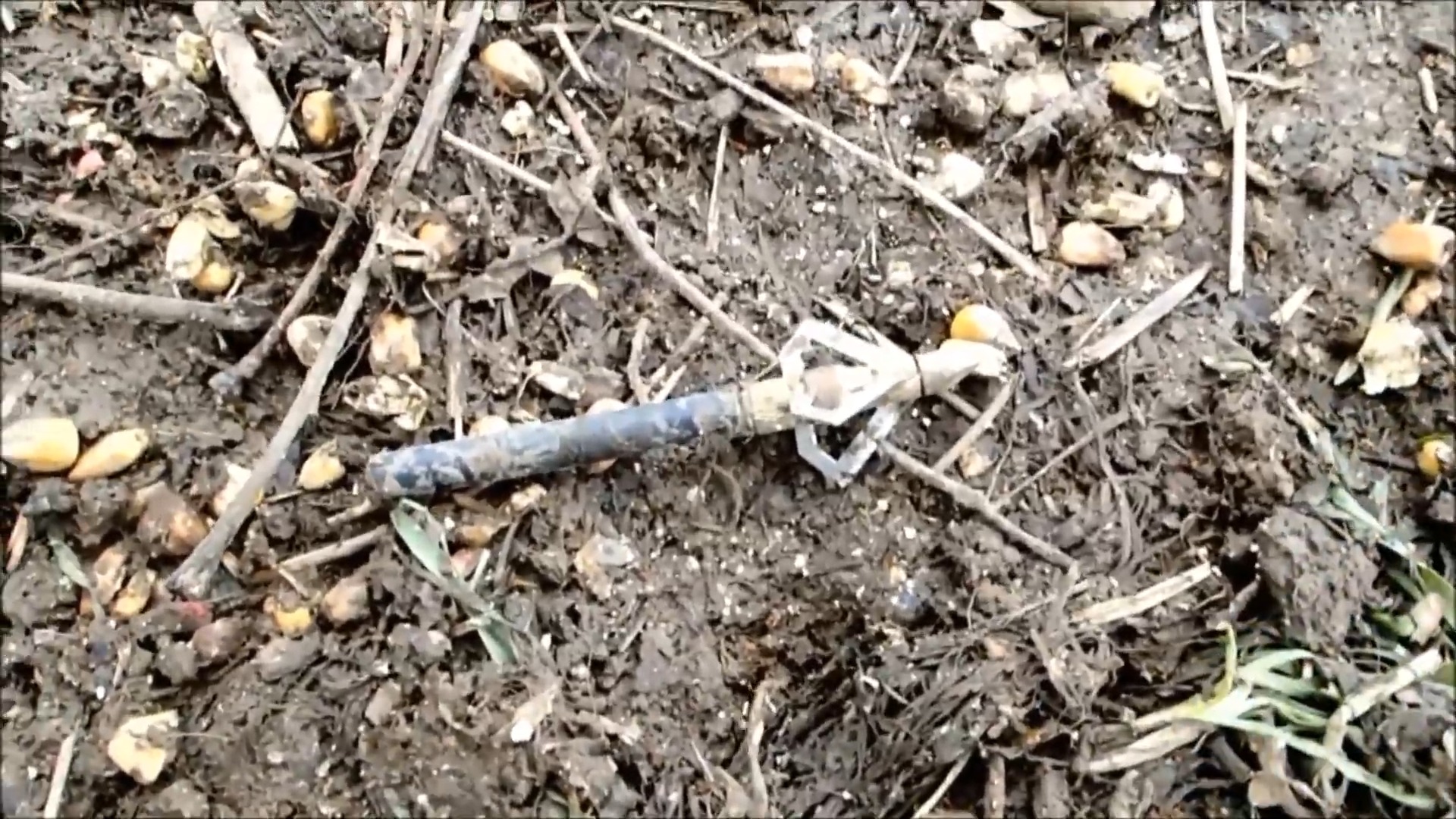 Metal detecting isn’t just relics – it’s landmines too