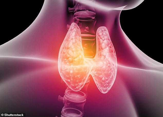 Revealed: The common health condition that indicates a woman might be a ...