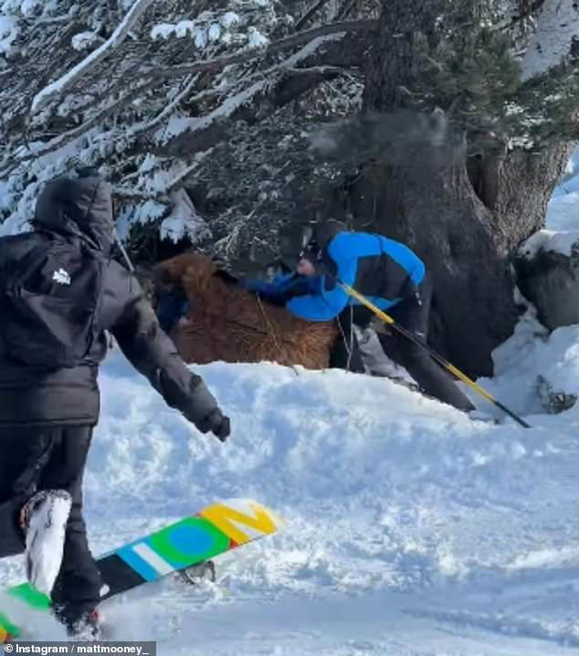 Skier dressed as Chewbacca is brutally beaten in mass brawl over ...