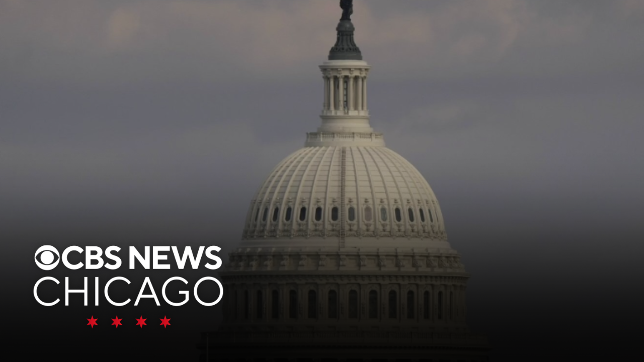 Chicago woman to testify on Capitol Hill after being shot by Border Patrol