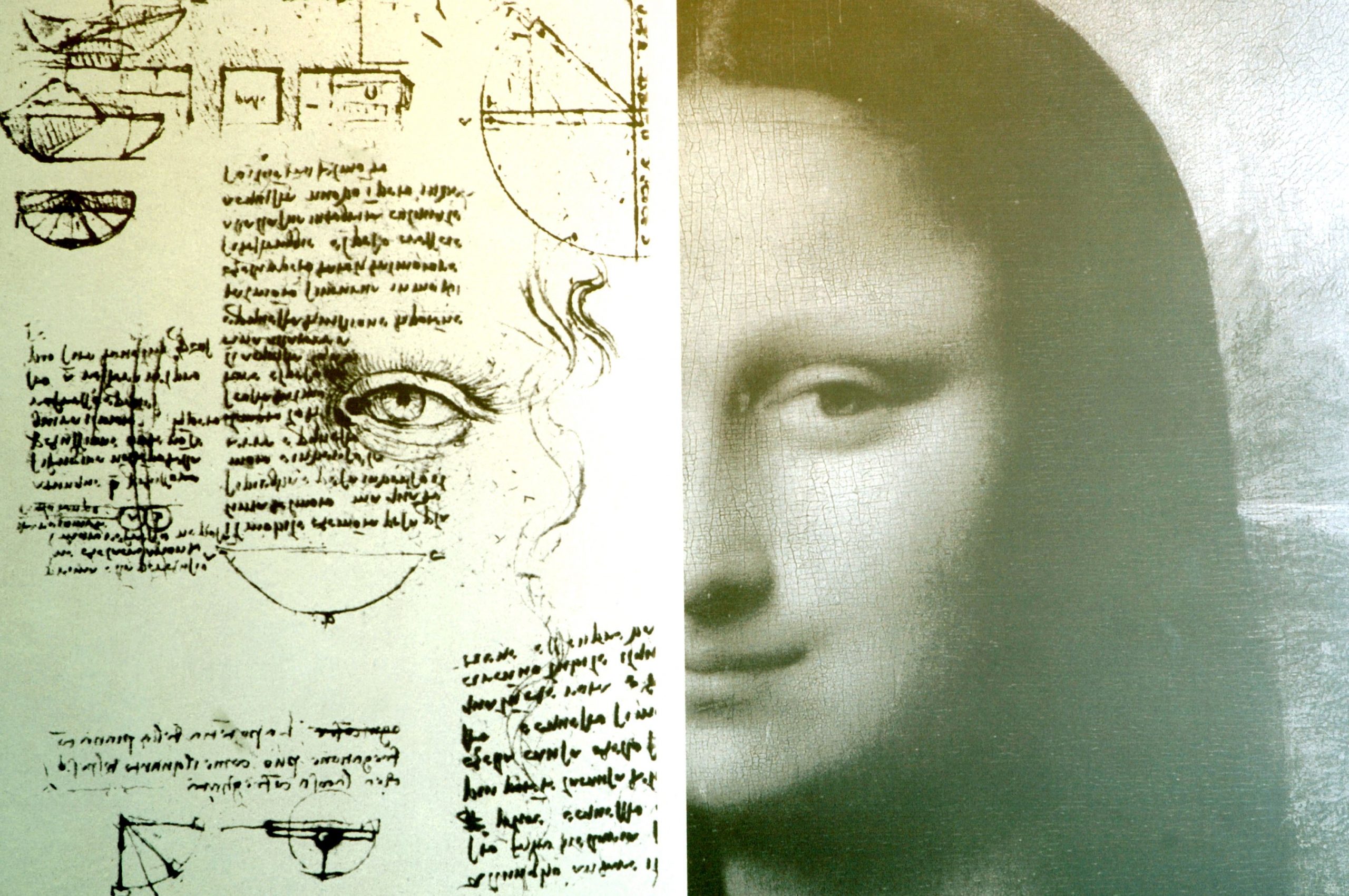 Leonardo da Vinci's DNA extracted from one of his drawings?