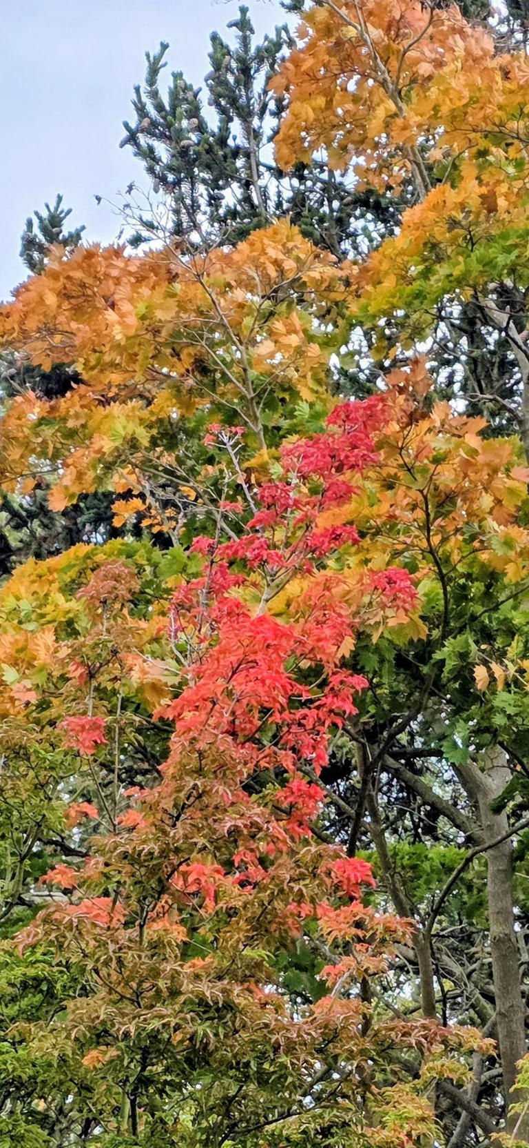 Reader picture competition: From Jarvis Cocker at Kelham Island to a ...