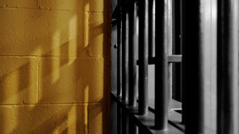 St. Louis County Jail inmate dies days after being found unresponsive ...