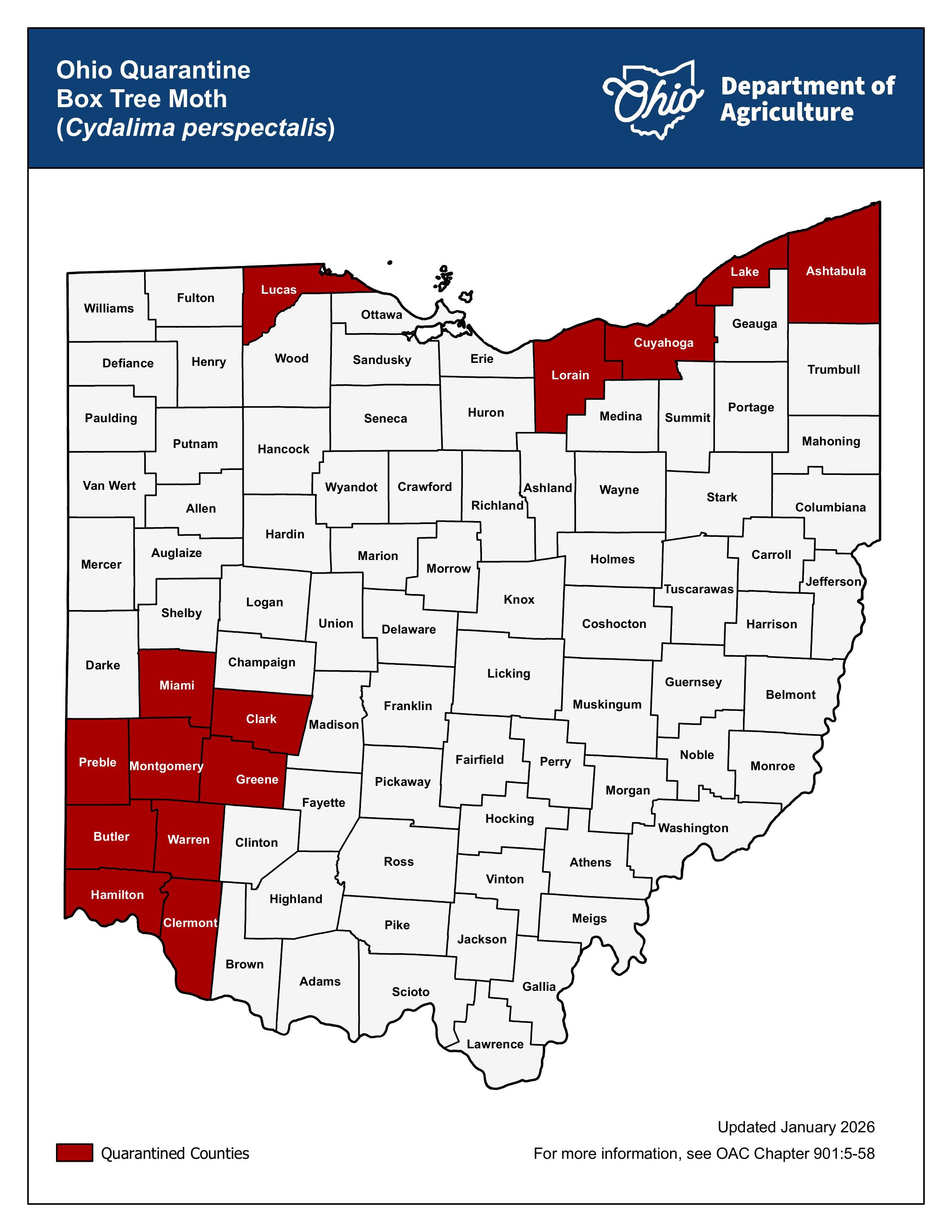 Ohio expands quarantine against invasive insect. Where, what it means
