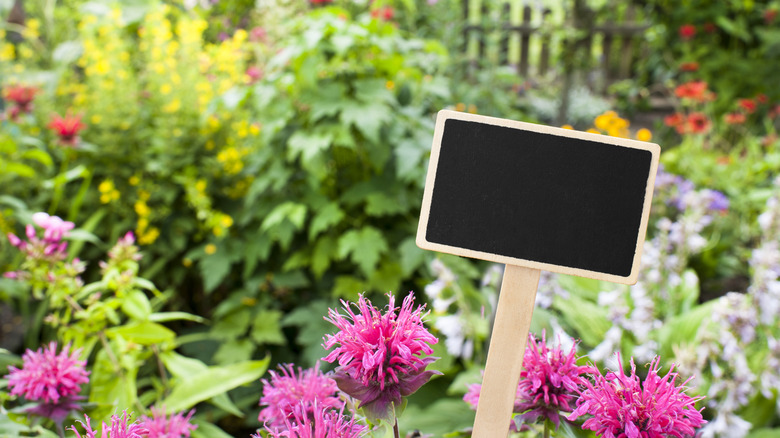 10 DIY garden sign ideas to add whimsy to your yard