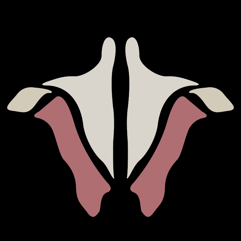 Institute of Human Anatomy - IOHA