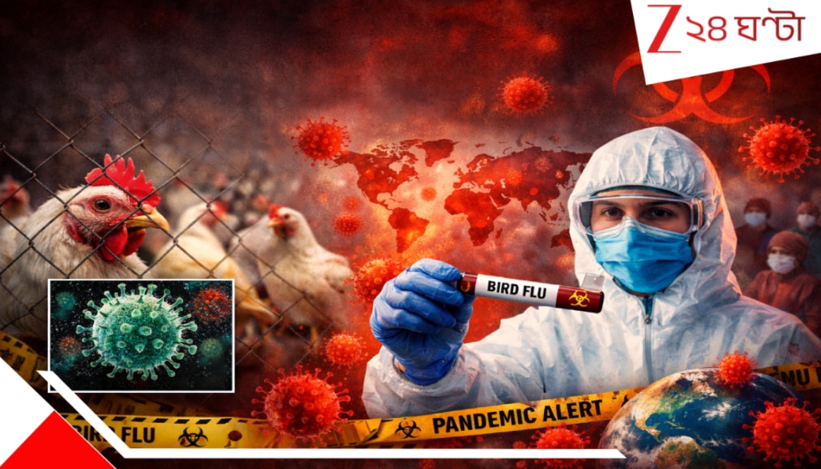 Bird flu alert in India: খাবার পাতে বজ্রপাত! রাজ্যে রাজ্যে মড়কের জেরে ...