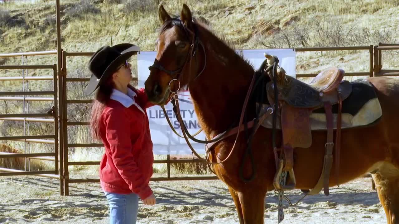 Liberty Sanctuary rescues 30 horses from slaughter, fights for ...