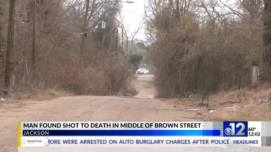 Man found shot to death in middle of Jackson street