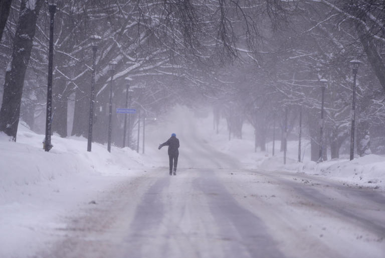 Which NY city has the most snow this winter? Here’s where totals stand