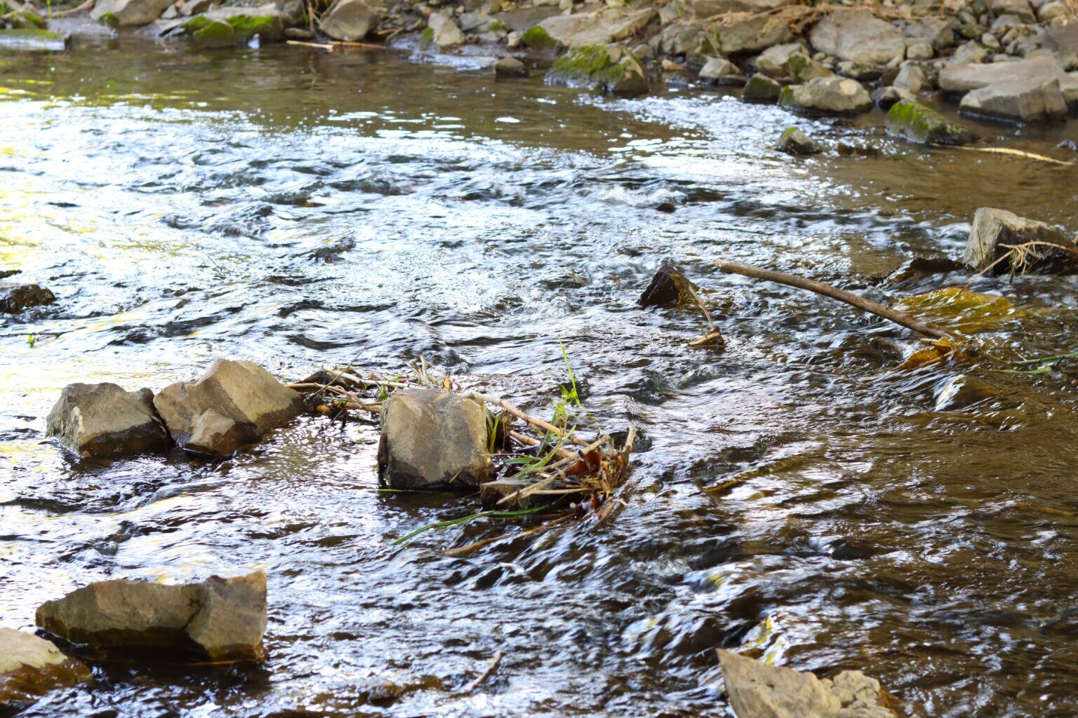 Eastern Iowa dairy responsible for multiple fish kill incidents fined ...