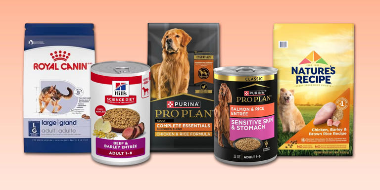 Best dog food, with advice from veterinarians and animal nutrition experts