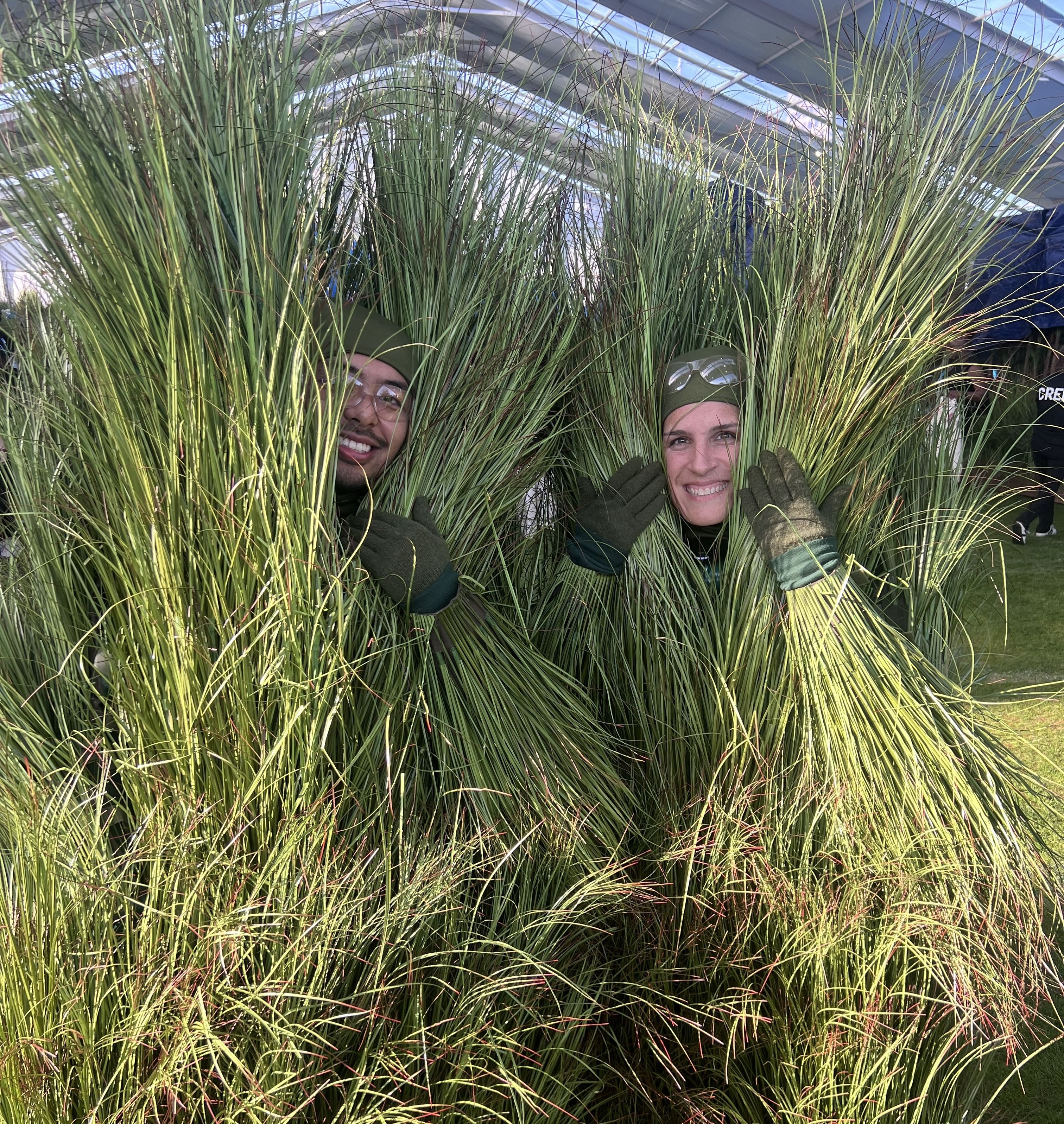 Bad Bunny headlined — but the grass stole the halftime show