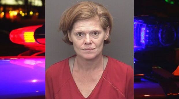 Woman pleads guilty to causing crash that killed 2 pedestrians in ...