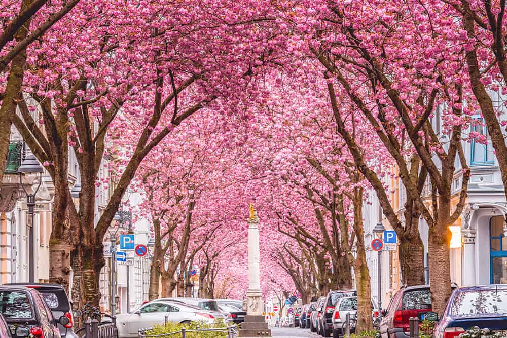 Why spring might just be the perfect time to finally book that Europe trip