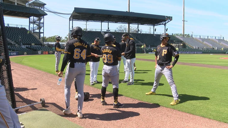 Spring training brings multi-million dollar economic boost to Manatee ...