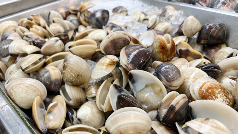How you should be storing fresh clams for the best results