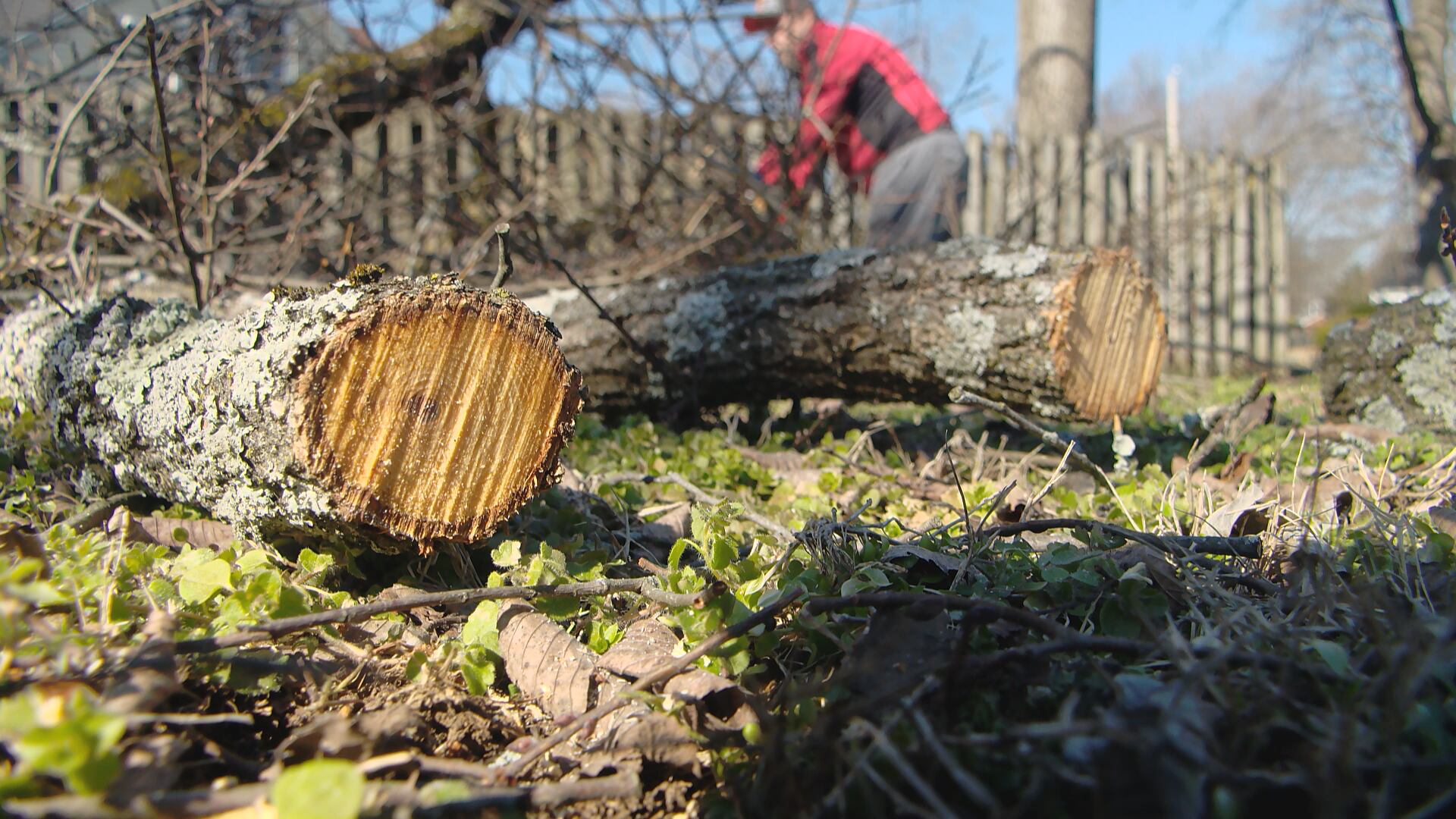 Severe weather looms across Middle TN as ice storm recovery continues