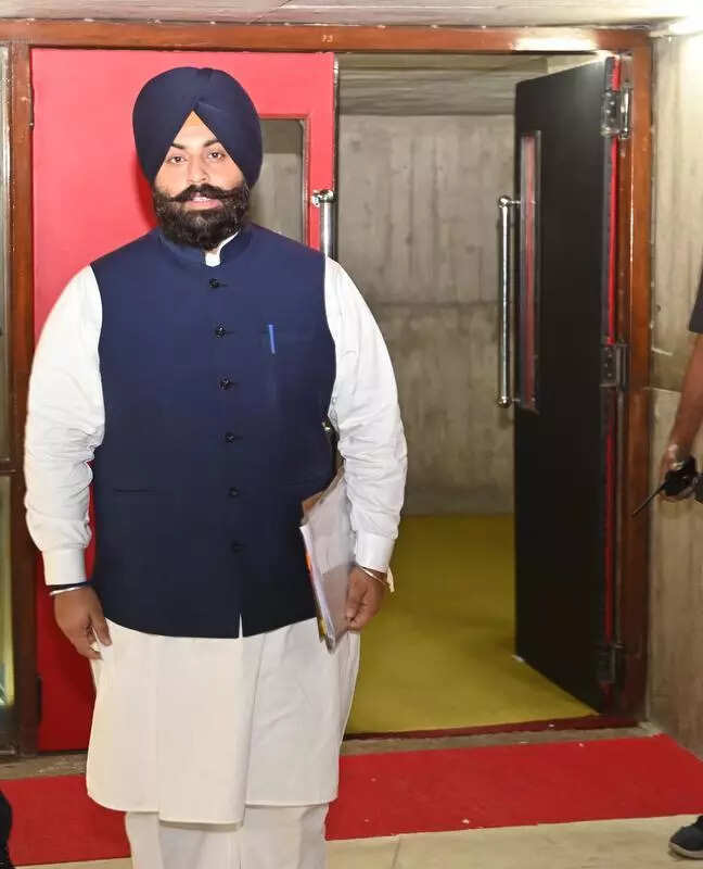 Five crucial bridges approved by BBMB: Bains