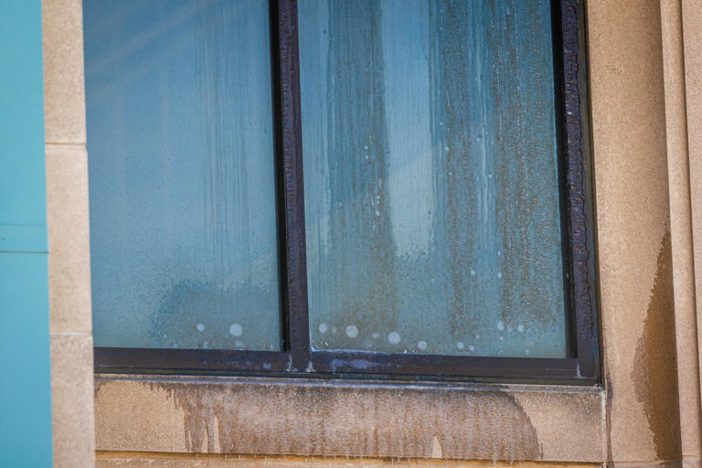 Hanover's public library opens lobby for pickups as repairs continue